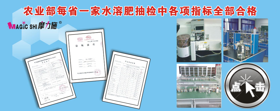 ����Ԫ��ˮ�ܷ��ϙz�(y��n)��(b��o)���